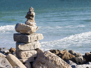 A Rock Carin standing on the rocky shore of the Gulf of Mexico at St. Pete Beach, Florida.