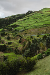 Sao Miguel Island, Azores