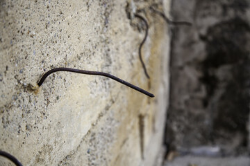Rusty nail in wood
