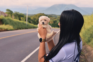 Young woman holding an adorable french poodle mini puppy
