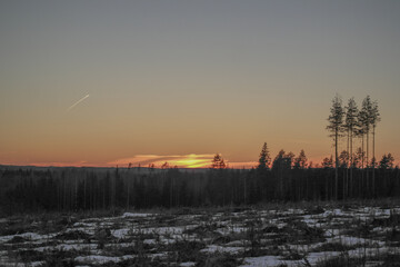 sunset over the forest