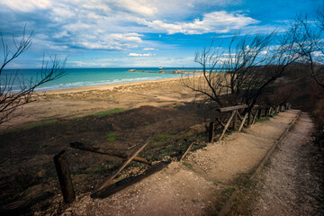 Fototapeta na wymiar Punta Penne Nature Reserve, Vasto, Abruzzi, Italy: the reserve after the fire in August 2020