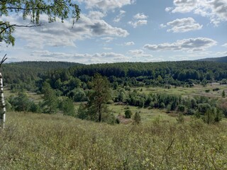 Fototapeta premium forest in the mountains