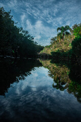 river in the forest