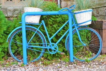 Fototapeta na wymiar Blue bicycle with two white baskets in which there is a plant