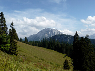 Hiking tour to Halserspitze mountain, Blaubergkamm, Bavaria, Germany