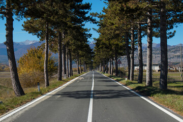 Long road with trees