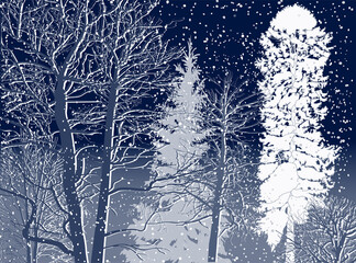 white snowfall in dark blue forest