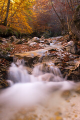 Fototapeta na wymiar A creek in autumn
