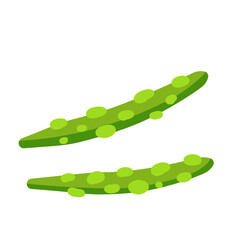 Asparagus. Green plant. Vegetarianism and raw element for salad. Flat cartoon. Healthy food ingredient