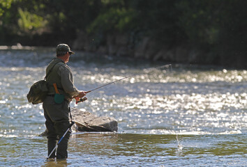 trout fisherman in the river segre in Pyrennes