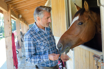 Man feeding hay to horse over stable door