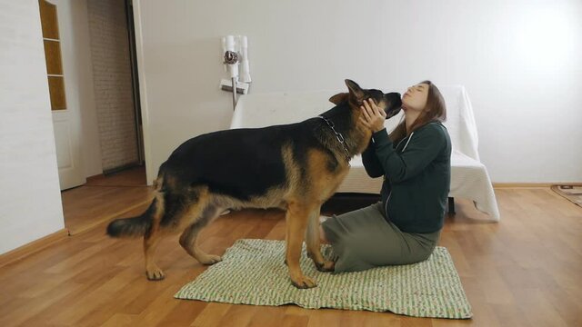 Smiling young woman spends free time with her dog at home. Young woman sits on the floor in her apartment with a dog, German shepherd, the dog licks the mistress