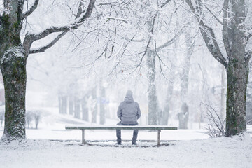 One young adult man sitting on bench between trees at park in white winter day after blizzard. Fresh first snow. Thinking about life. Spending time alone in nature. Peaceful atmosphere. Back view.