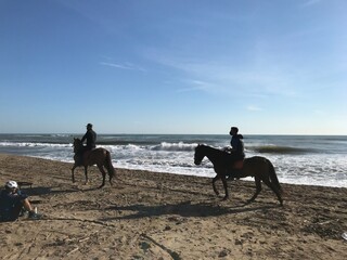 caballo