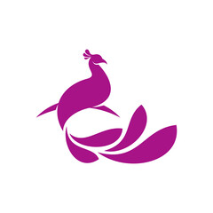 Peacock logo vector template, Creative Peacock logo design concepts, Illustration