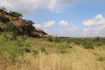 Crocodile River / Crocodile River /