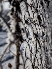 snow on the fence texture