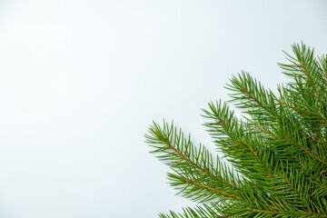 Christmas or New Year background with green fir branches on a white background. top view and copy...
