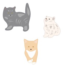 Kitties in different poses