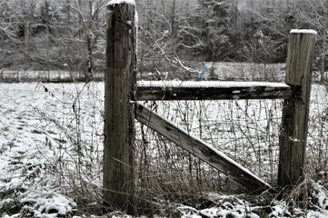 snow on the fence post