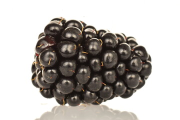Organic blackberries, close-up, on a white background.