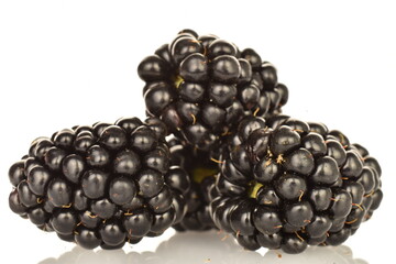 Organic blackberries, close-up, on a white background.
