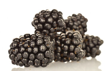 Organic blackberries, close-up, on a white background.