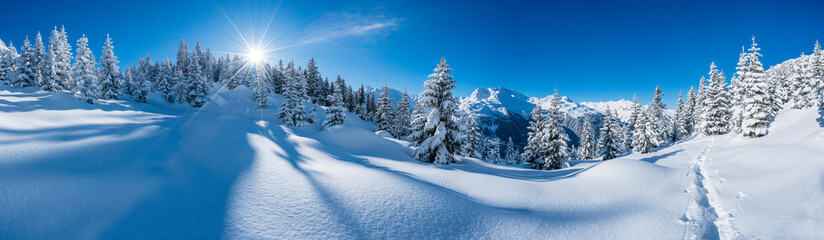 Winterpanorama mit Verschneiter Winterlandschaft