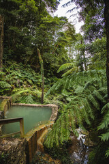 Obraz premium Hot Springs in Caldeira Velha, Sao Miguel Island, Azores, Portugal