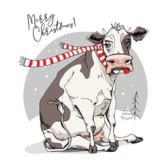Merry Christmas and New year card. Sitting cow in the red scarf . Humor t-shirt composition, meme, hand drawn style print. Vector illustration.