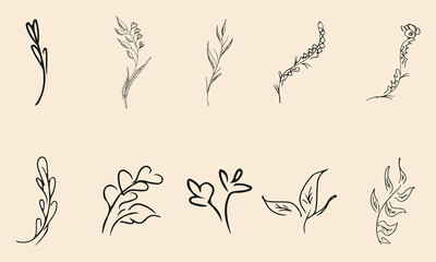 Doodle simple vector collection of 10 hand-drawn floral elements. Big collection of 10 hand-drawn branches. Big floral botanical set. Isolated