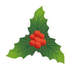 christmas decorative leafs with red seeds vector illustration design