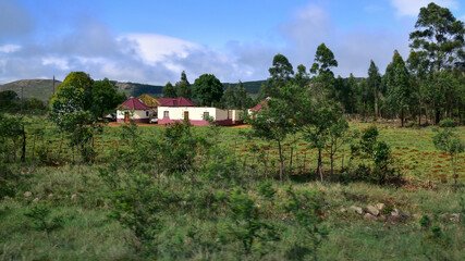 African house with rondavel in the countryside amid green fields and surrounded by trees, Swaziland, Africa, panoramic landscape view, Swaziland, Africa