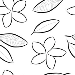 Frangipani flowers are hand-drawn in black on a white background. Seamless pattern for wrapping paper, fashion prints, fabrics, clothing, bedding. Vector illustration.