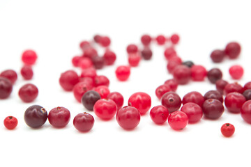 Ripe organic cranberry isolated on white background. Сopy space on a white background.	