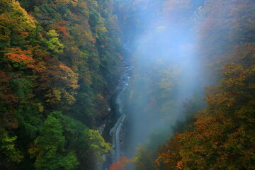 秋田県　紅葉の小安峡