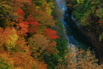 秋田県　紅葉の小安峡