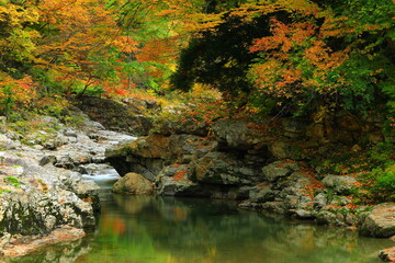 秋田県　紅葉の小安峡