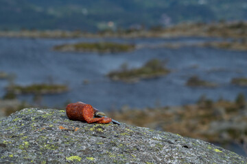 Knife cutting sausage in the mountain with blurry mountain landscape in background.  Outdoor food.