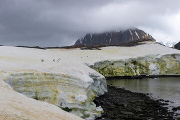 Penguins on a muddy glacier with mountain in clouds in Antarctica 
