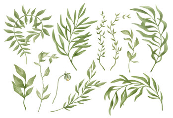 Naklejka na ściany i meble Watercolor set with green plants, leaf, foliage, summer floral elements. Greenery botanical illustration isolated on white