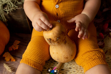 yellow small pumpkin in the hands of a child