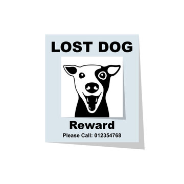 Lost dog. Reward for the find. Missing poster. Lost puppy poster. Sheet with the announcement of disappearance of pet on bulletin board. Vector illustration flat design. Isolated on white background.
