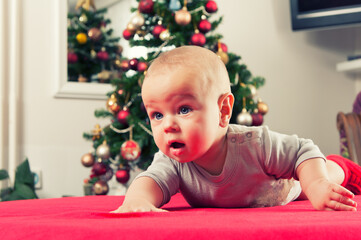 Adorable baby boy crawling beside christmass tree. Concept of celebrations