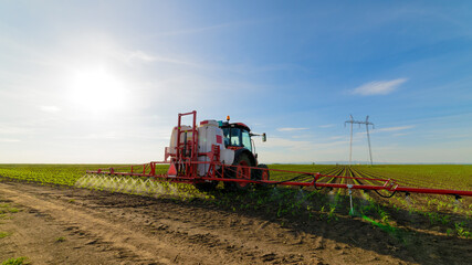Obraz premium Tractor spraying young corn with pesticides
