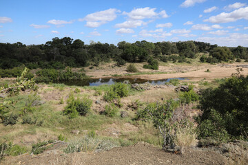 Timbavati River / Timbavati River /