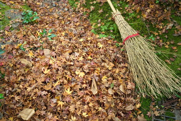 Kyoto,Japan-November 22, 2020: Fallen leaves and bamboo broom in a garden
