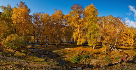 Fototapeta premium Russia. South Of Western Siberia. Mountain Altai. Early autumn morning on the coast of the Big Ilgumen river near the village of Kupchegen.
