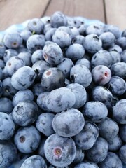 Breast berries blue delicious blueberries, healthy berries with lots of vitamins